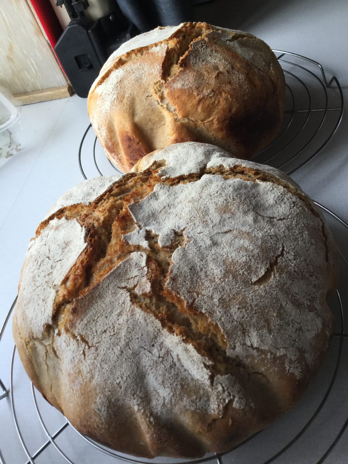 Brotbacken mit Sauerteig – Genuss-Atelier-Schatz